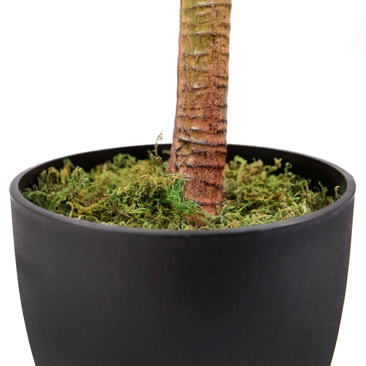 Tronco e vaso nero con muschio verde della pianta artificiale DRACAENA I di hjh OFFICE