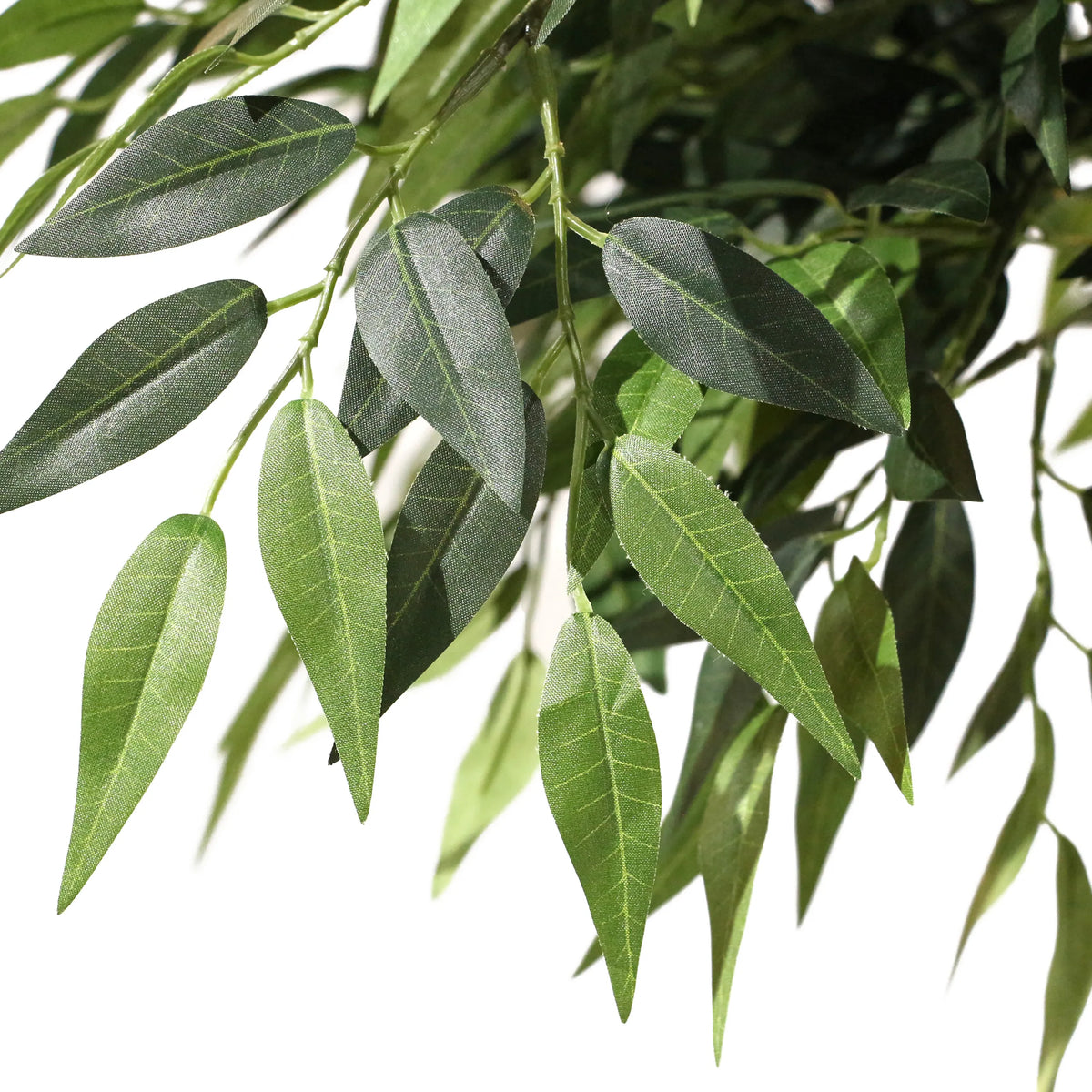 Foglie verdi della pianta artificiale ACACIA di hjh OFFICE