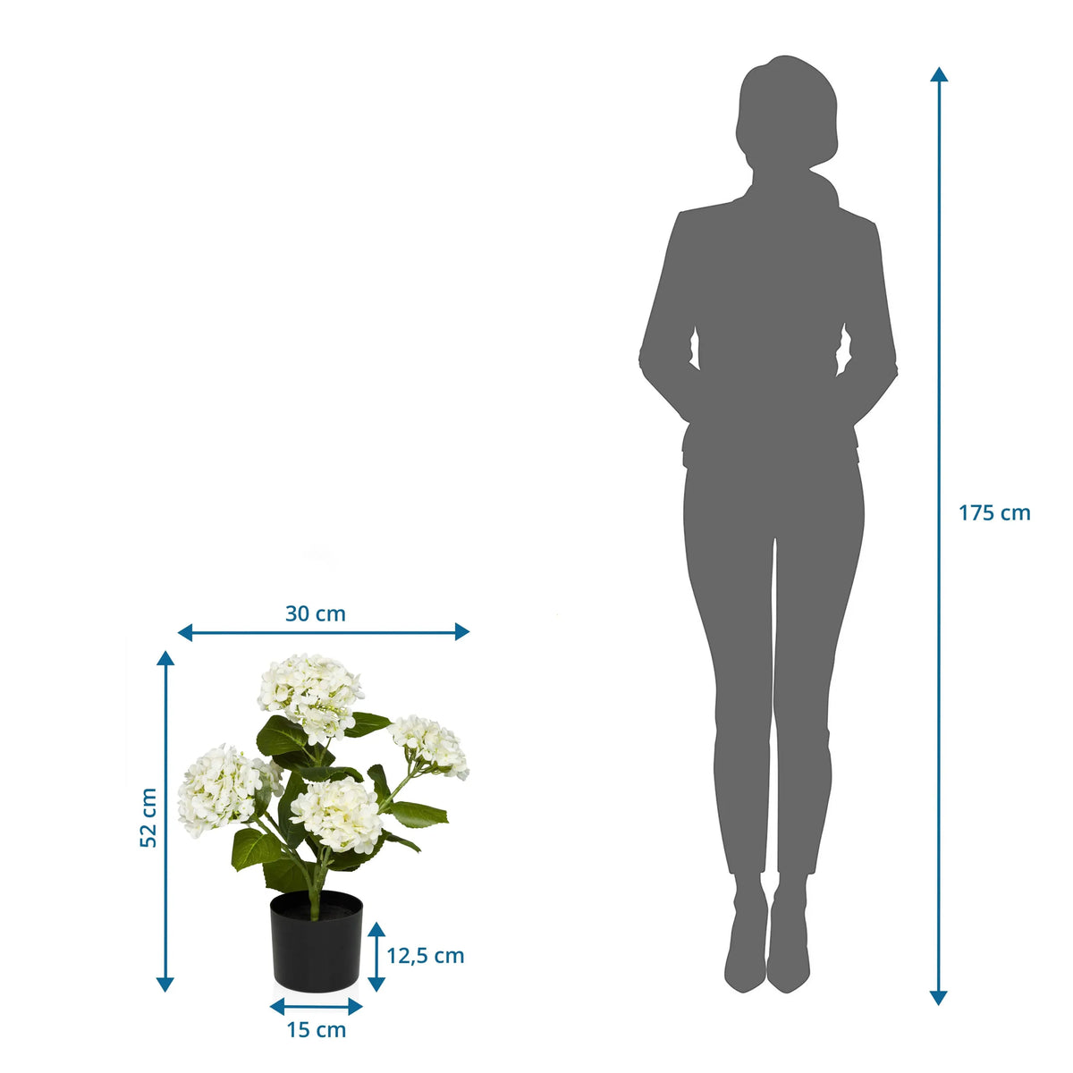 Disegno tecnico della Piante artificiali HYDRANGEA con un'altezza di 52 cm e una larghezza di 30 cm di hjh OFFICE