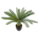 Piante artificiali CYCAS di colore verde con vaso esterno nero di hjh OFFICE