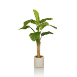 Piante artificiali verdi BANANE I con grandi foglie in un vaso beige di hjh OFFICE – vista a 360° (vista frontale 0°)