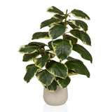 Piante artificiali Ficus 3 in verde e bianco con un coprivaso beige di hjh OFFICE