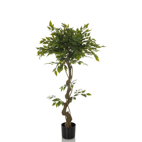 Piante artificiali verde FICUS I con fusto ritorto in un vaso nero di hjh OFFICE