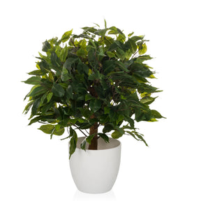 Piante artificiali FICUS II in verde con fogliame fitto in un vaso bianco di hjh OFFICE