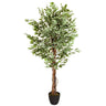 Piante artificiali FICUS con foglie variegate verdi e bianche in un vaso nero di hjh OFFICE