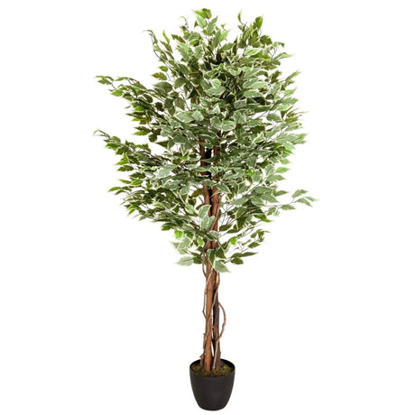 Piante artificiali FICUS con foglie variegate verdi e bianche in un vaso nero di hjh OFFICE