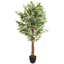 Piante artificiali FICUS con foglie variegate verdi e bianche in un vaso nero di hjh OFFICE