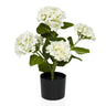 Piante artificiali HYDRANGEA con fiori bianchi, foglie verdi e vaso nero di hjh OFFICE