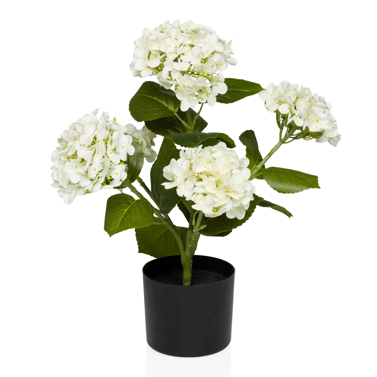 Piante artificiali HYDRANGEA con fiori bianchi, foglie verdi e vaso nero di hjh OFFICE