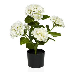 Piante artificiali HYDRANGEA con fiori bianchi, foglie verdi e vaso nero di hjh OFFICE