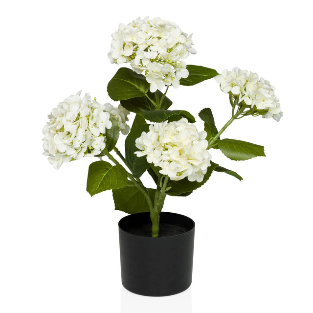 Piante artificiali HYDRANGEA con fiori bianchi, foglie verdi e vaso nero di hjh OFFICE
