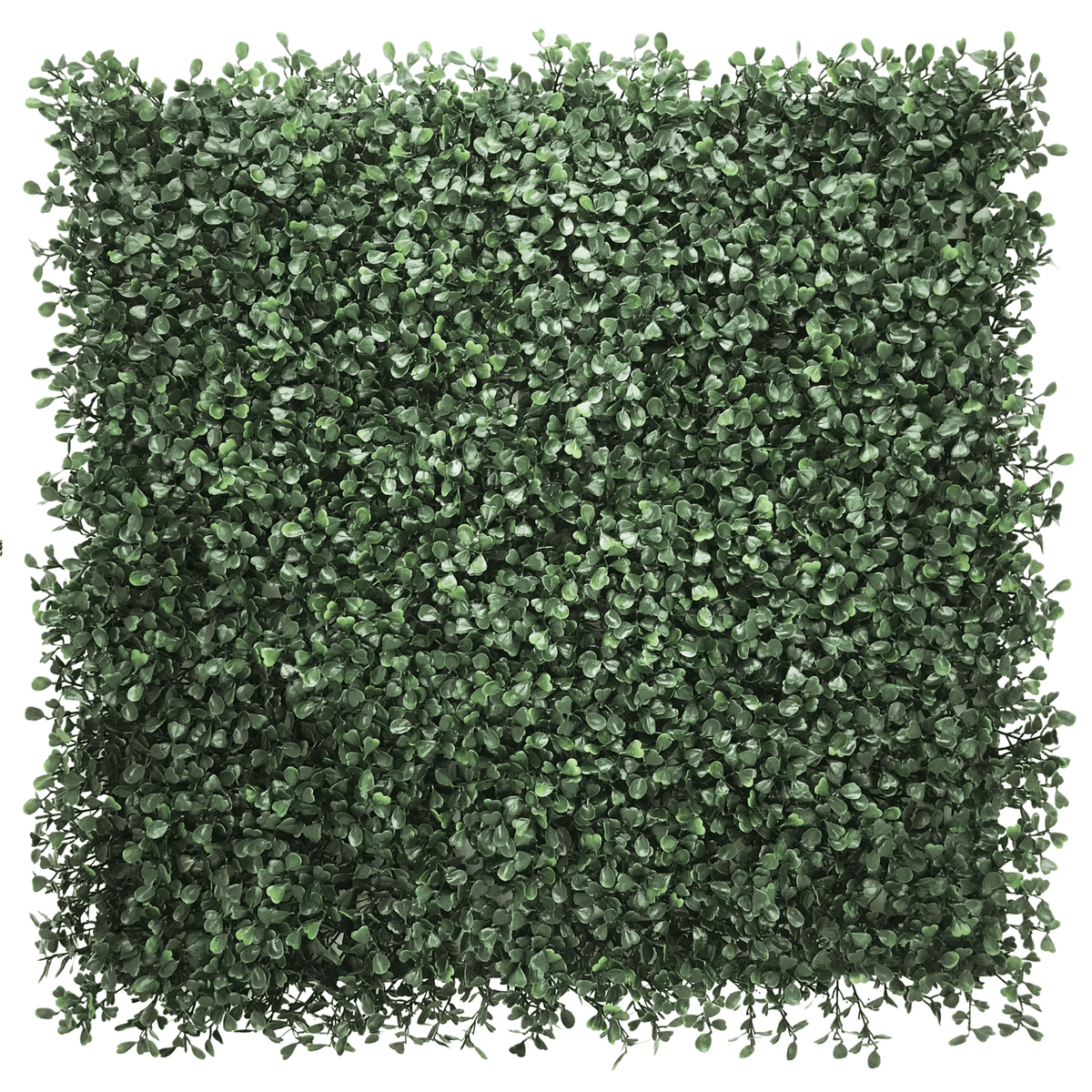 Pannello vegetale verde LEAFLUXE 1 con piccole foglie dense in forma quadrata di hjh LIVING