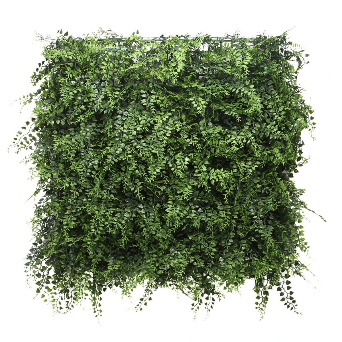 Pannello vegetale verde LEAFLUXE 2 con piccole foglie folte di hjh LIVING