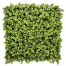 Pannello vegetale verde LEAFLUXE 3 con fogliame denso e fine di hjh LIVING