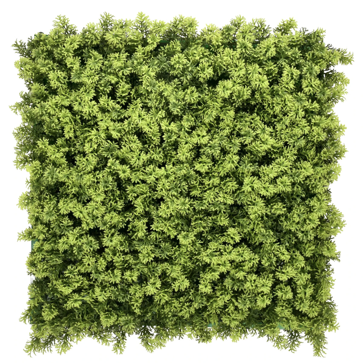 Pannello vegetale verde LEAFLUXE 3 con fogliame denso e fine di hjh LIVING
