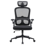 MC102C-M101 | Sihoo - Sedia da ufficio professionale 