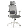 Sedia da ufficio professionale MIKEO G in grigio con schienale in rete e base bianca di hjh OFFICE