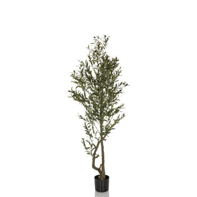 Piante artificiali verdi OLIVE I dalla crescita stretta in un vaso nero di hjh OFFICE