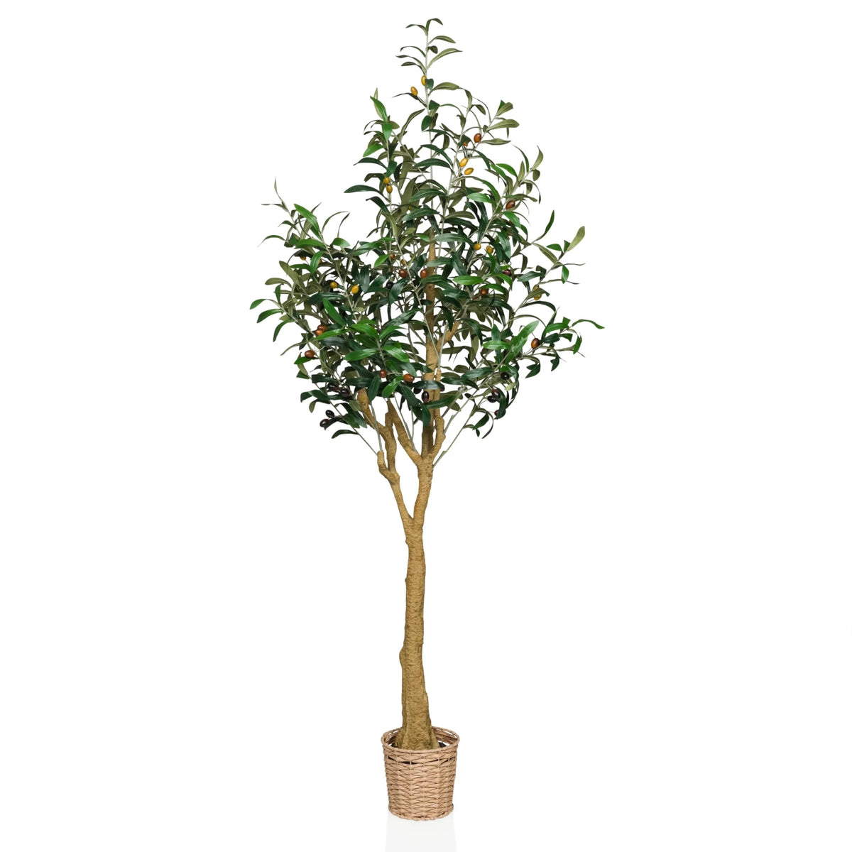 Piante artificiali OLIVE II in verde con vaso a cesto intrecciato e tronco naturale di hjh OFFICE