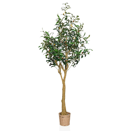 Piante artificiali OLIVE II in verde con vaso a cesto intrecciato e tronco naturale di hjh OFFICE