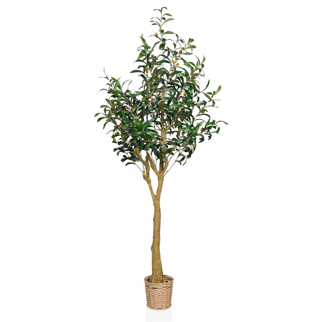 Piante artificiali OLIVE II in verde con vaso a cesto intrecciato e tronco naturale di hjh OFFICE