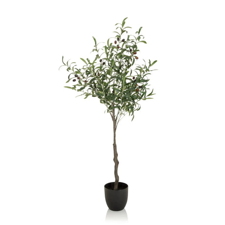 Piante artificiali verdi OLIVE a forma di ulivo con vaso nero di hjh OFFICE