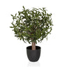 Piante artificiali Olive S con foglie verdi in un semplice vaso nero di hjh OFFICE