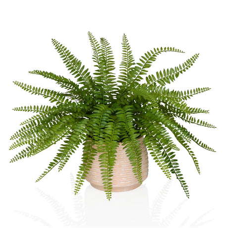 Piante artificiali verdi Proliferum con foglie simili a felci in un coprivaso beige chiaro di hjh OFFICE
