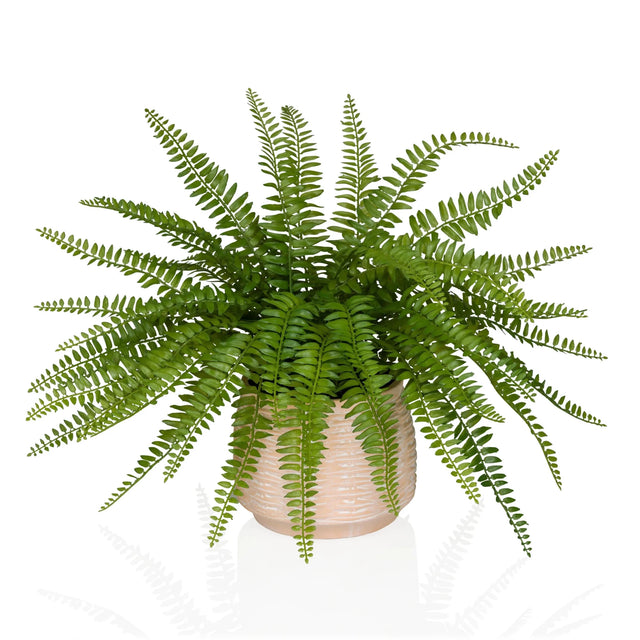 Piante artificiali verdi Proliferum con foglie simili a felci in un coprivaso beige chiaro di hjh OFFICE
