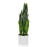 Piante artificiali SANSEVIERIA in verde con foglie lunghe in un vaso esterno bianco di hjh OFFICE