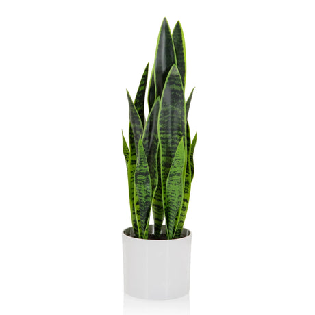 Piante artificiali SANSEVIERIA in verde con foglie lunghe in un vaso esterno bianco di hjh OFFICE