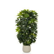 Piante artificiali Schefflera 2 in verde con foglie folte in un semplice vaso beige di hjh OFFICE