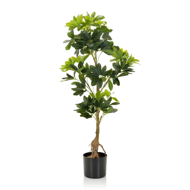 Piante artificiali verdi SCHEFFLERA con foglie lucide in un vaso nero di hjh OFFICE
