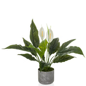 Piante artificiali Spathiphyllum 1 con foglie verdi, due fiori bianchi e vaso grigio di hjh OFFICE