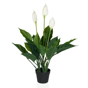 Piante artificiali SPATHIPHYLLUM in verde e bianco con tre fiori in un vaso nero di hjh OFFICE