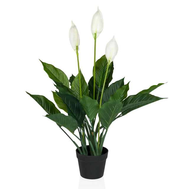 Piante artificiali SPATHIPHYLLUM in verde e bianco con tre fiori in un vaso nero di hjh OFFICE