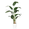 Piante artificiali verde STRELITZIA con grandi foglie in un vaso bianco di hjh OFFICE