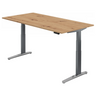 XBHM 2E GC | 200x100 | Schreibtisch elektrisch höhenverstellbar - buerostuhl24