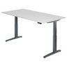 XBHM 2E GG | 200x100 | Schreibtisch elektrisch höhenverstellbar - buerostuhl24