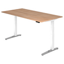 XBHM 2E WC | 200x100 | Schreibtisch elektrisch höhenverstellbar - buerostuhl24
