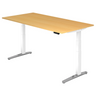 XBHM 2E WC | 200x100 | Schreibtisch elektrisch höhenverstellbar - buerostuhl24