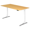 XBHM 2E WC | 200x100 | Schreibtisch elektrisch höhenverstellbar - buerostuhl24
