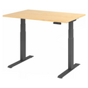 XDKB 12 G | 120x80 | Schreibtisch elektrisch höhenverstellbar - buerostuhl24