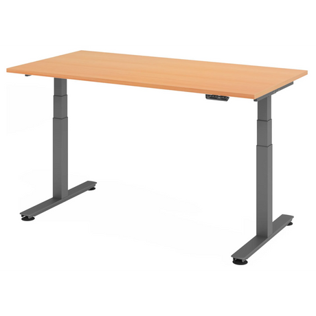 Scrivania ad altezza regolabile elettricamente XDSM 16 G in faggio con struttura grigia di hjh OFFICE PRO