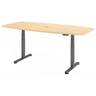 XDSM 22 G | 220x103 | Schreibtisch elektrisch höhenverstellbar - buerostuhl24