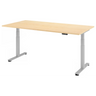 XDSM 2E S | 200x100 | Schreibtisch elektrisch höhenverstellbar - buerostuhl24