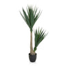 Piante artificiali YUCCA in verde con foglie strette e vaso nero di hjh OFFICE
