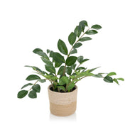 Piante artificiali ZAMIE di colore verde con un coprivaso intrecciato in materiale naturale di hjh OFFICE