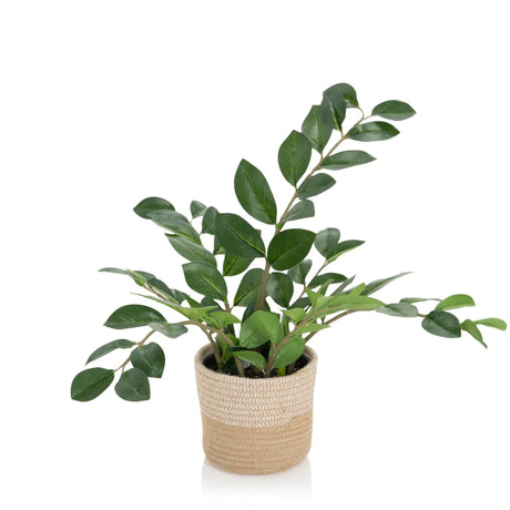 Piante artificiali ZAMIE di colore verde con un coprivaso intrecciato in materiale naturale di hjh OFFICE
